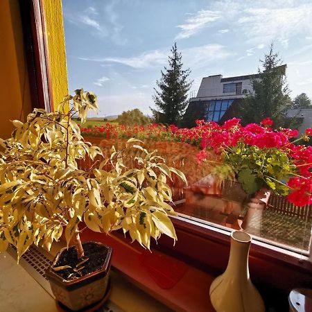 Apartmán Adrianka Turčianske Teplice Exterior foto