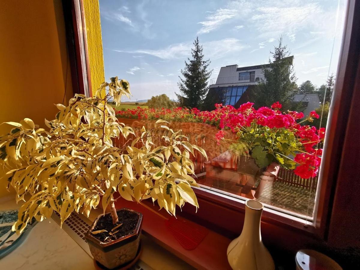 Apartmán Adrianka Turčianske Teplice Exterior foto